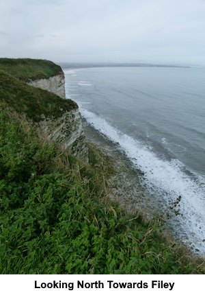 A view looking North towards Filey.