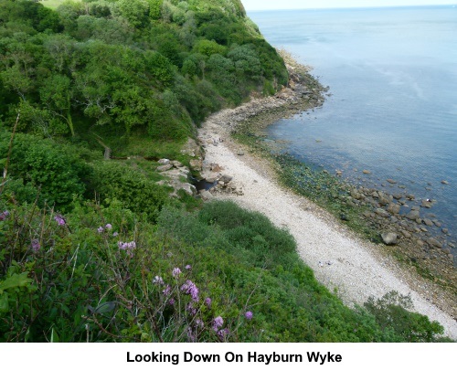 Looking down to the beach at Hayburn Wyke.