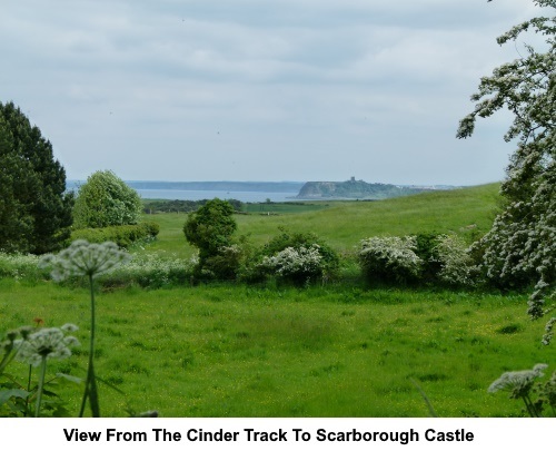 View from the Cinder Track to Scarborough Castle
