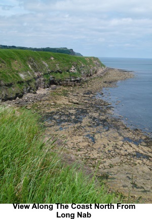 View North along the coast from Long Nab.