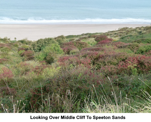Looking over Middle Cliff to Speighton Sands.