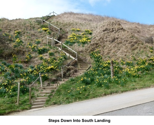 Steps to South Landing