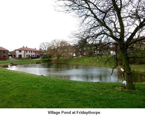 Village pond at Fridaythorpe