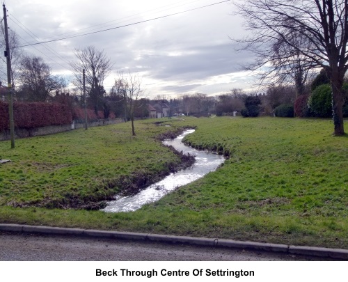Beck through Settrington