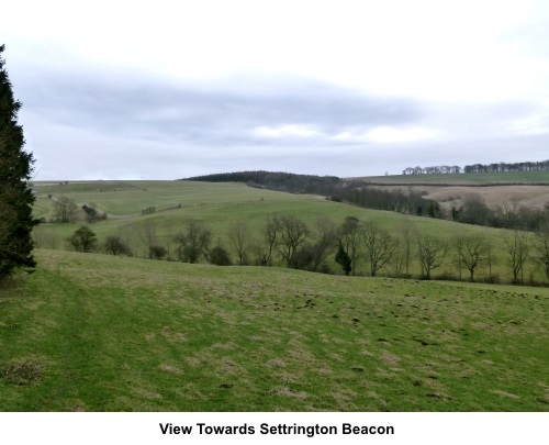 View towards Settrington Beacon