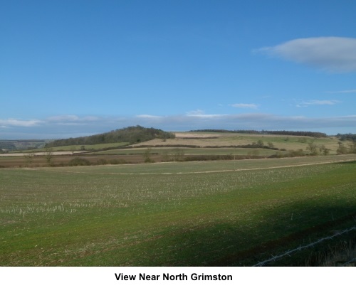 View near North Grimston