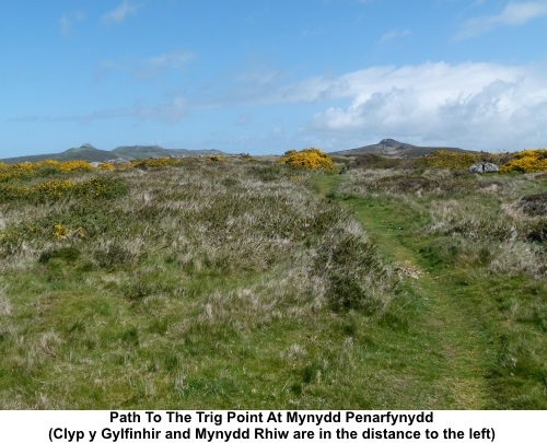 Path to trig point at Mynydd Penarfynydd