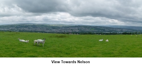 View towards Nelson