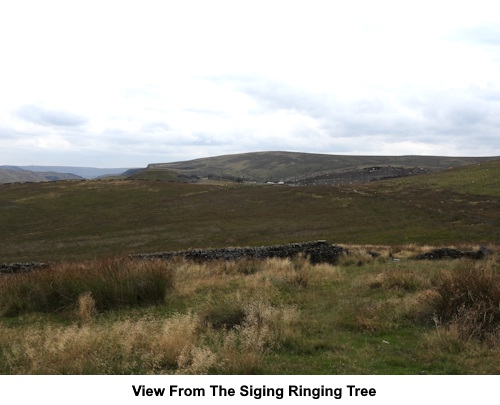 View from the Singing Ringing Tree.