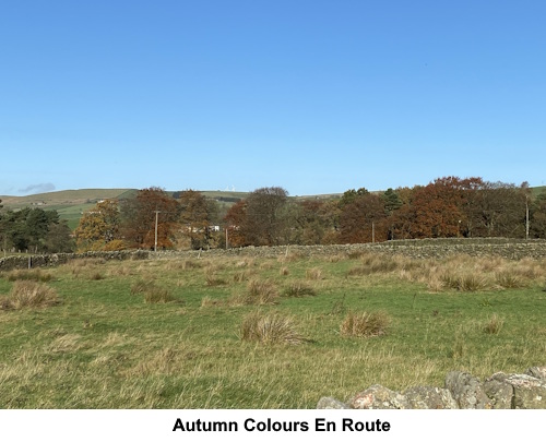 Autumn colours en route.