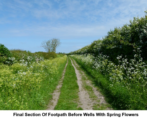 The final section of the footpath before Wells.