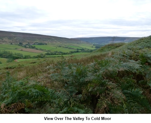 Looking over the valley to Cold Moor.