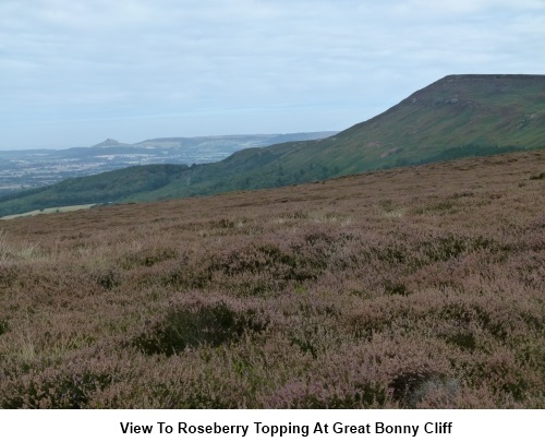 View to Roseberry Topping at Great Bonny Cliff