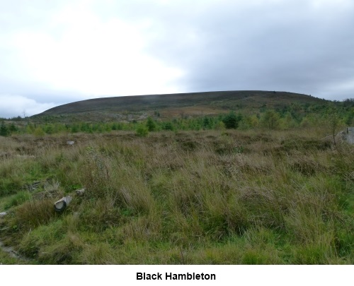 Black Hambleton