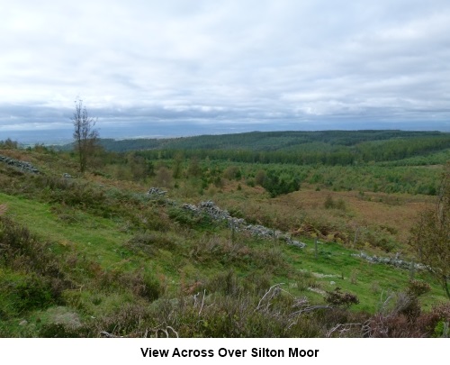 View across Over Silton Moor