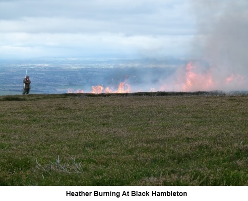 Heather burning