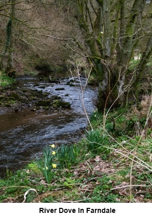 The River Dove in Farndale