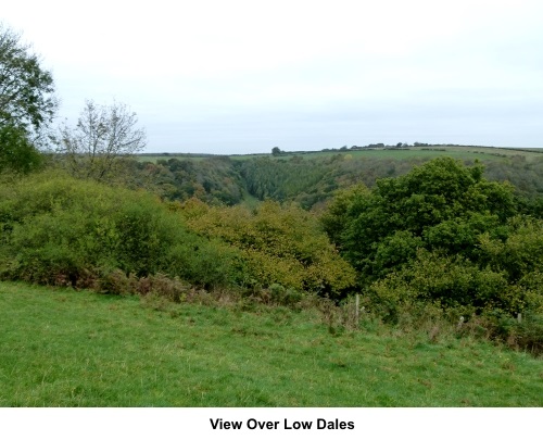 Low Dales, North York Moors