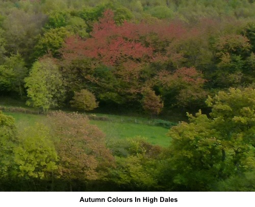 Autumn colours in High Dales