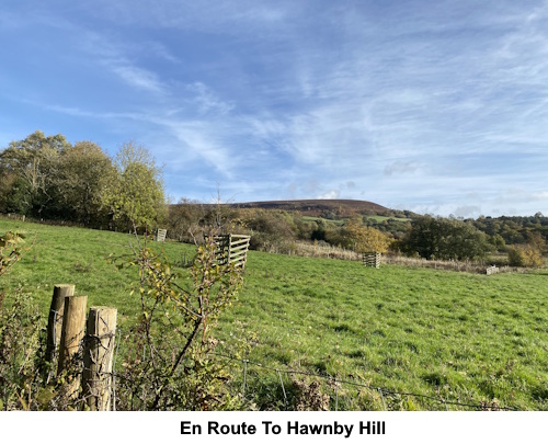A view en route to Hawnby Hill.