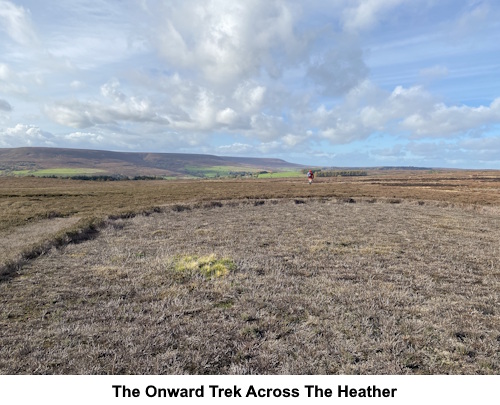 The onward track across the heather.