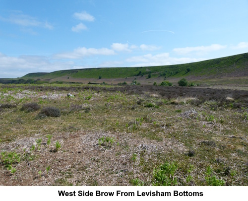 West Side Brow from Levisham Bottoms.