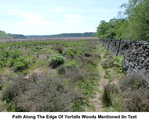 The path along the edge of Yorfalls Woods mentioned in the text.