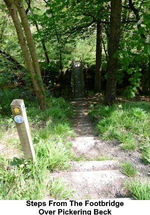 Steps rising from the footbridge over Pickering Beck.