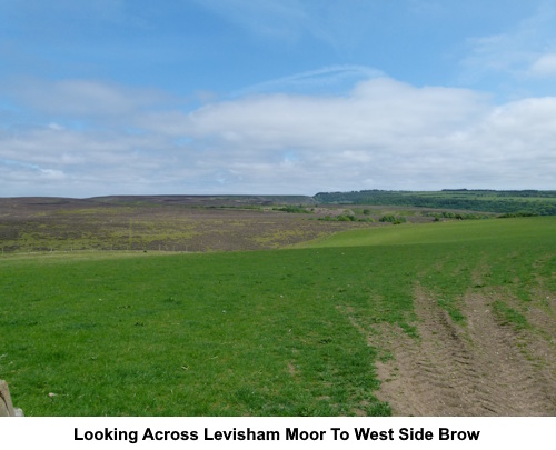 Looking across Levisham Moor to West Side Brow.