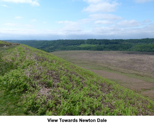 View towards Newton Dale.