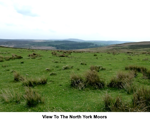 View over Scarth Moor to the North York Moors.