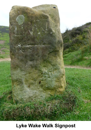 A stone signpost for the Lyke Wake Walk.