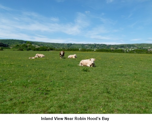 Inland view near Robin Hood's Bay.