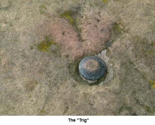 The stud which represents the trig. point