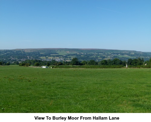 View from Hallam Lane to Burlley Moor.