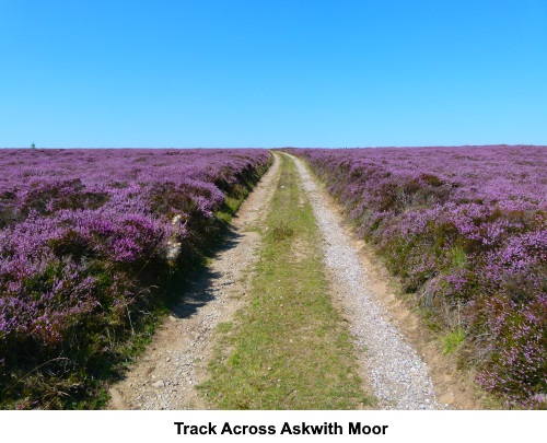 The track across Askwith Moor.