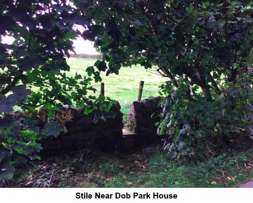 Stile near Dob Park House