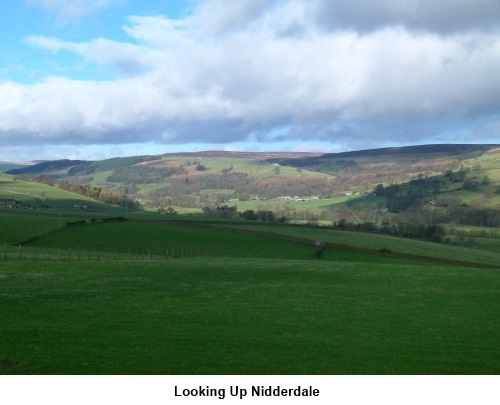 View up Nidderdale