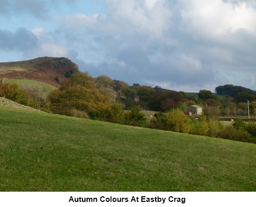 Autumn colours at Eastby Crag