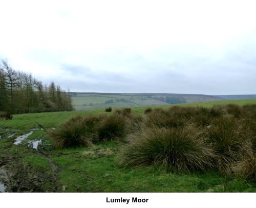 Lumley Moor