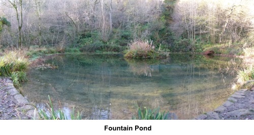 Hackfall Fountain Pond