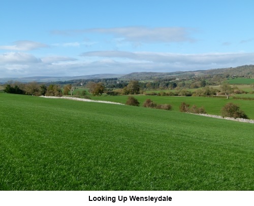 Wensleydale view