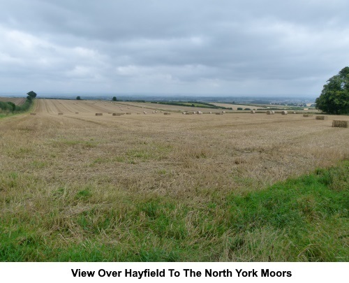 View over the hayfield to the North York Moors.