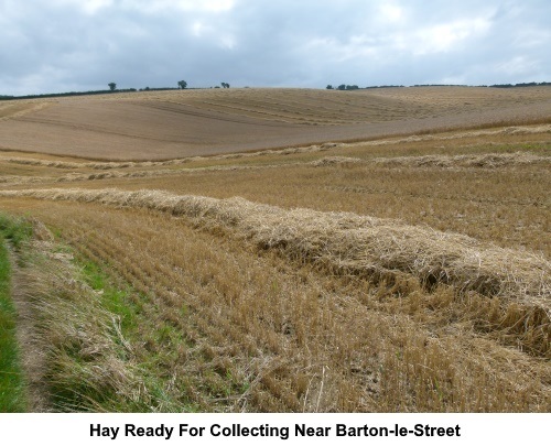 Hay ready for collecting near Barton-le-Street.
