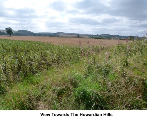 View towards the Howardian Hills.