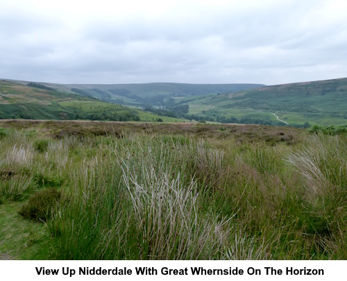 A view up Nidderdale with Great Whernside on the horizon.