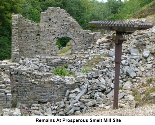 Industrial remains at the Prosperous Smelt Mill site.