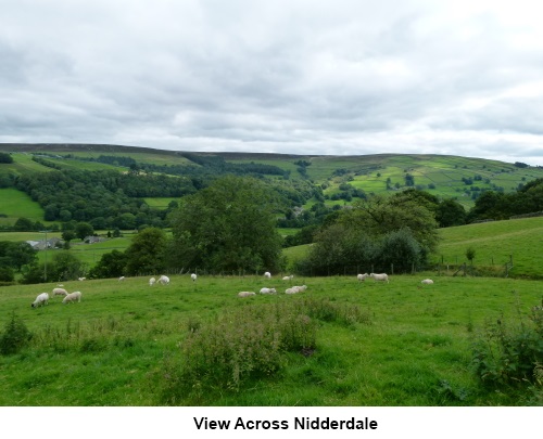 A view across Nidderdale