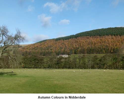 Autumn colours in Nidderdale