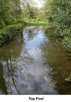 The Top Pool.